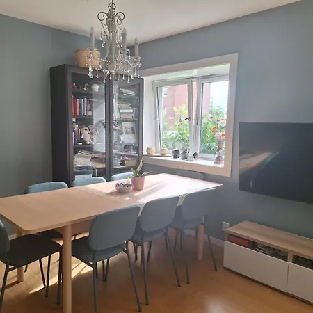 Single In A Bright Flat Close To Rum i privatbostad
